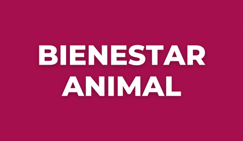 BIENESTAR ANIMAL