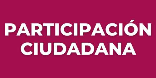 PARTICIPACION CIUDADANA